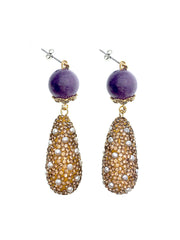 Sophisticated Amethyst With Teardrop Rhinestones Dangle Earrings FE015-0
