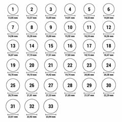 Ladies' Ring Sif Jakobs A001-CZ-RG (14)-1